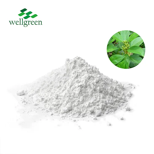 Gymnema Extract Powder